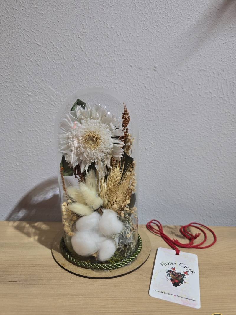 BEYAZ ŞOKLANMIŞ DOĞAL TEKLİ CELBERA TERARİUM