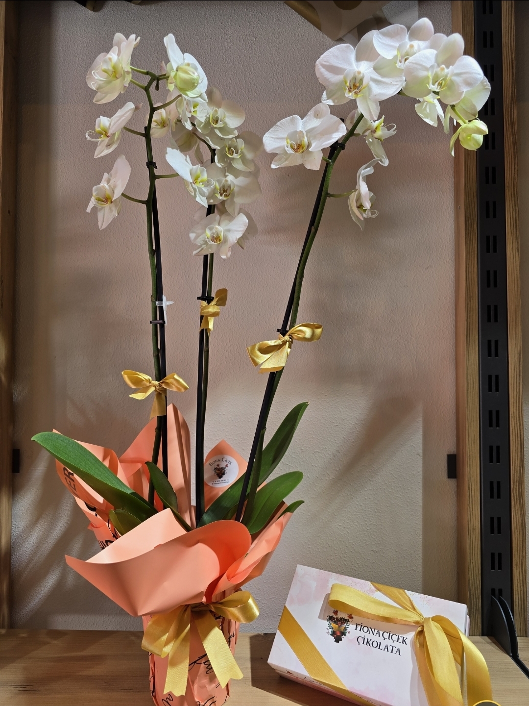 ÇİKOLATA VE BEYAZ ORKİDE