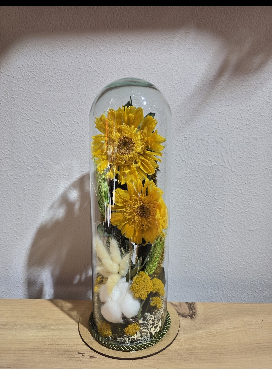 SARI ŞOKLANMIŞ DOĞAL İKİLİ CELBERA TERARİUM