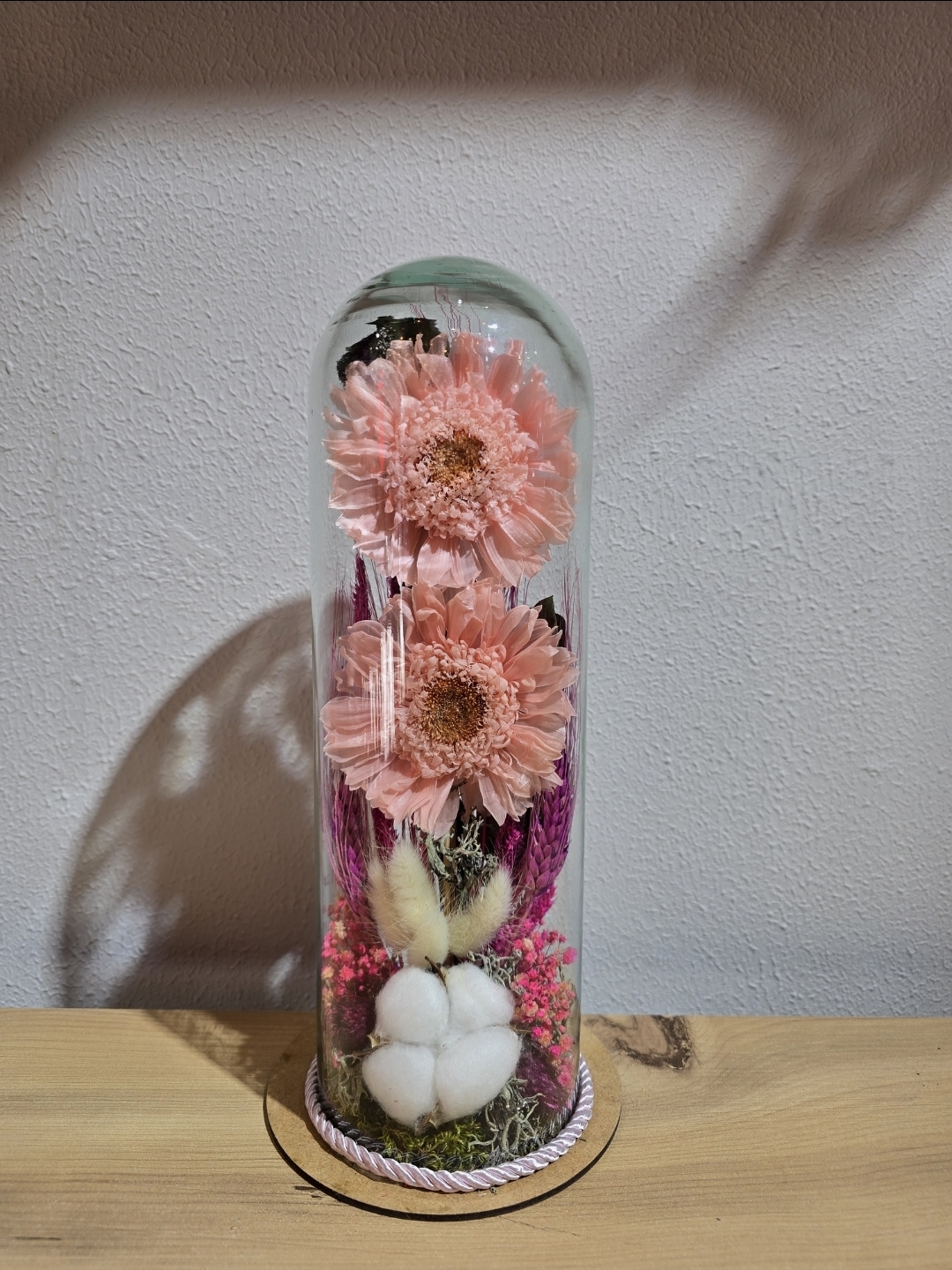 PEMBE ŞOKLANMIŞ DOĞAL İKİLİ CELBERA TERARİUM