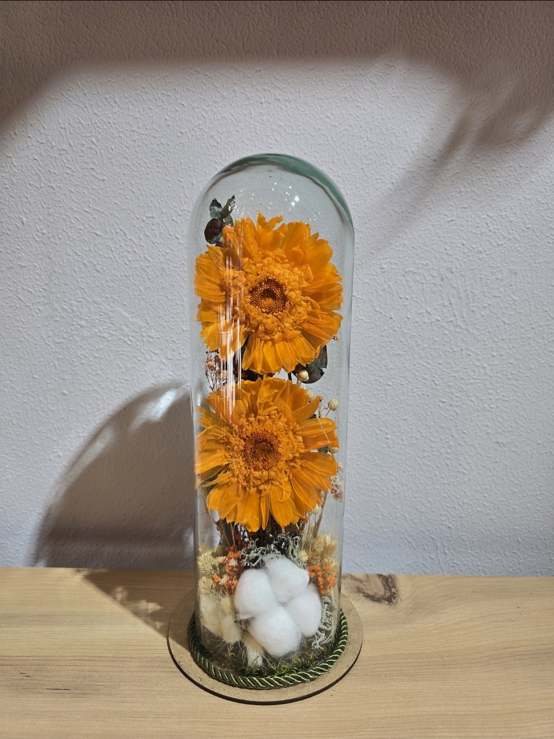 TURUNCU ŞOKLANMIŞ DOĞAL İKİLİ CELBERA TERARİUM