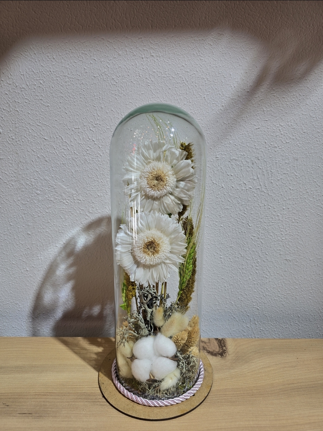 BEYAZ ŞOKLANMIŞ DOĞAL İKİLİ CELBERA TERARİUM