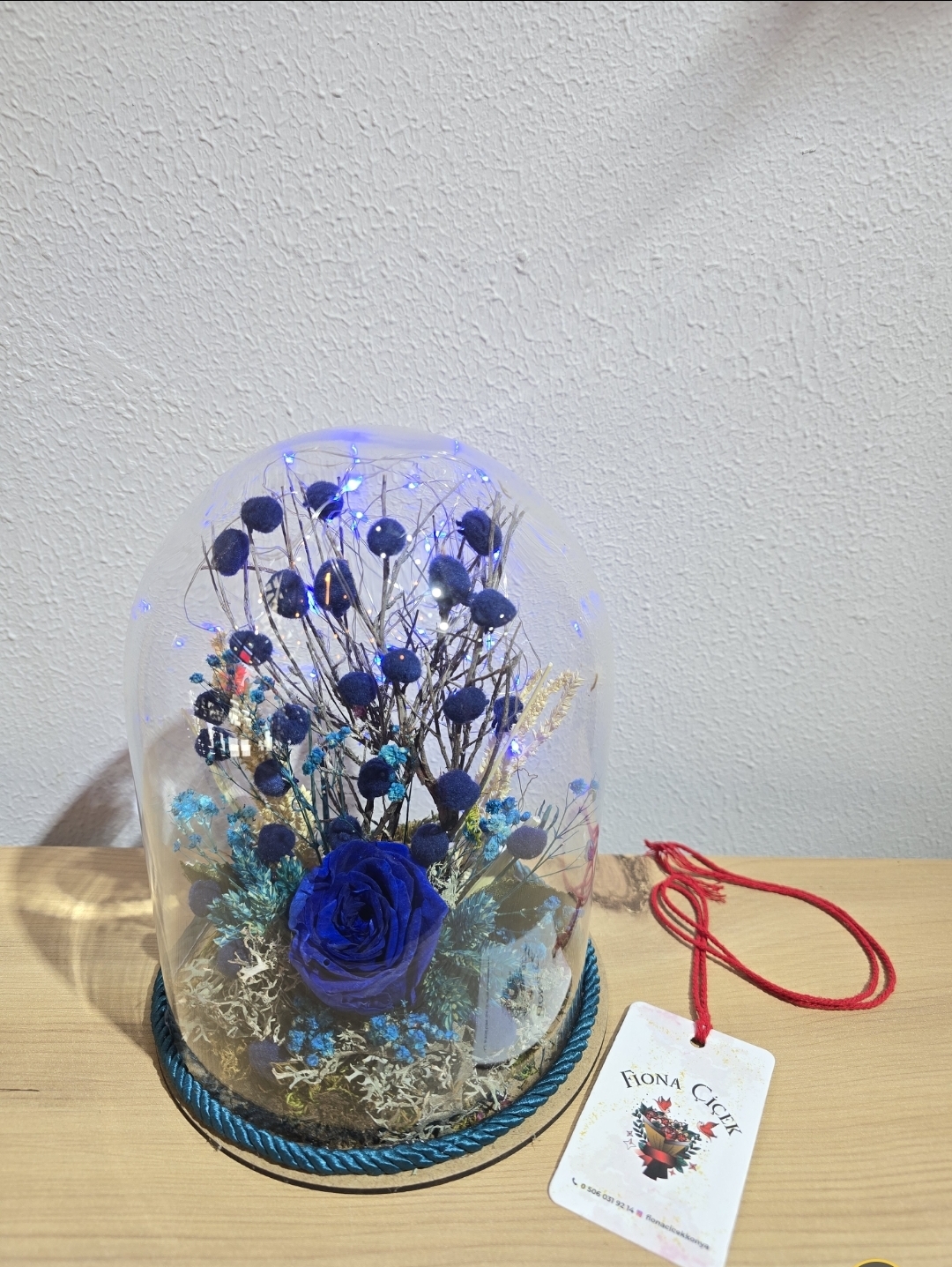 LACİVERT LEDLİ ŞOKLANMIŞ DOĞAL TERARİUM