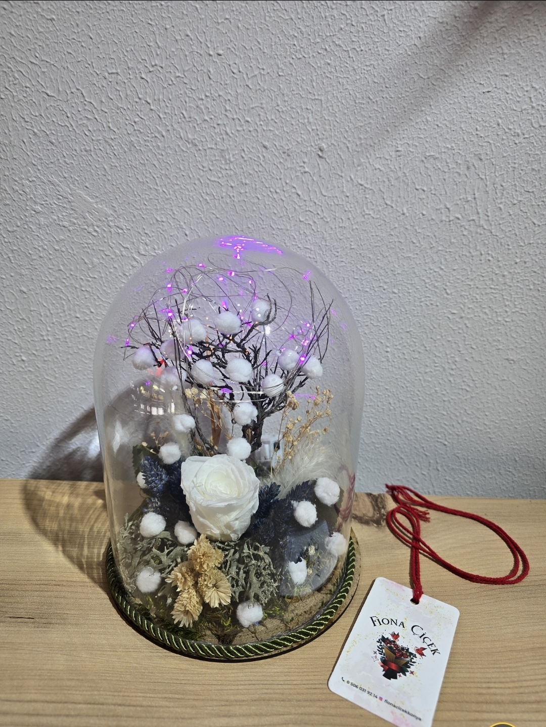 BEYAZ LEDLİ ŞOKLANMIŞ DOĞAL TERARİUM