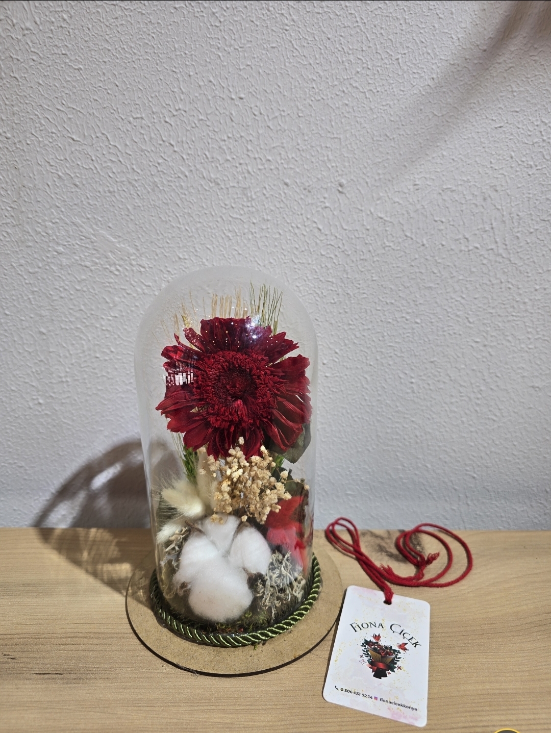 KIRMIZI ŞOKLANMIŞ DOĞAL TEKLİ CELBERA TERARİUM