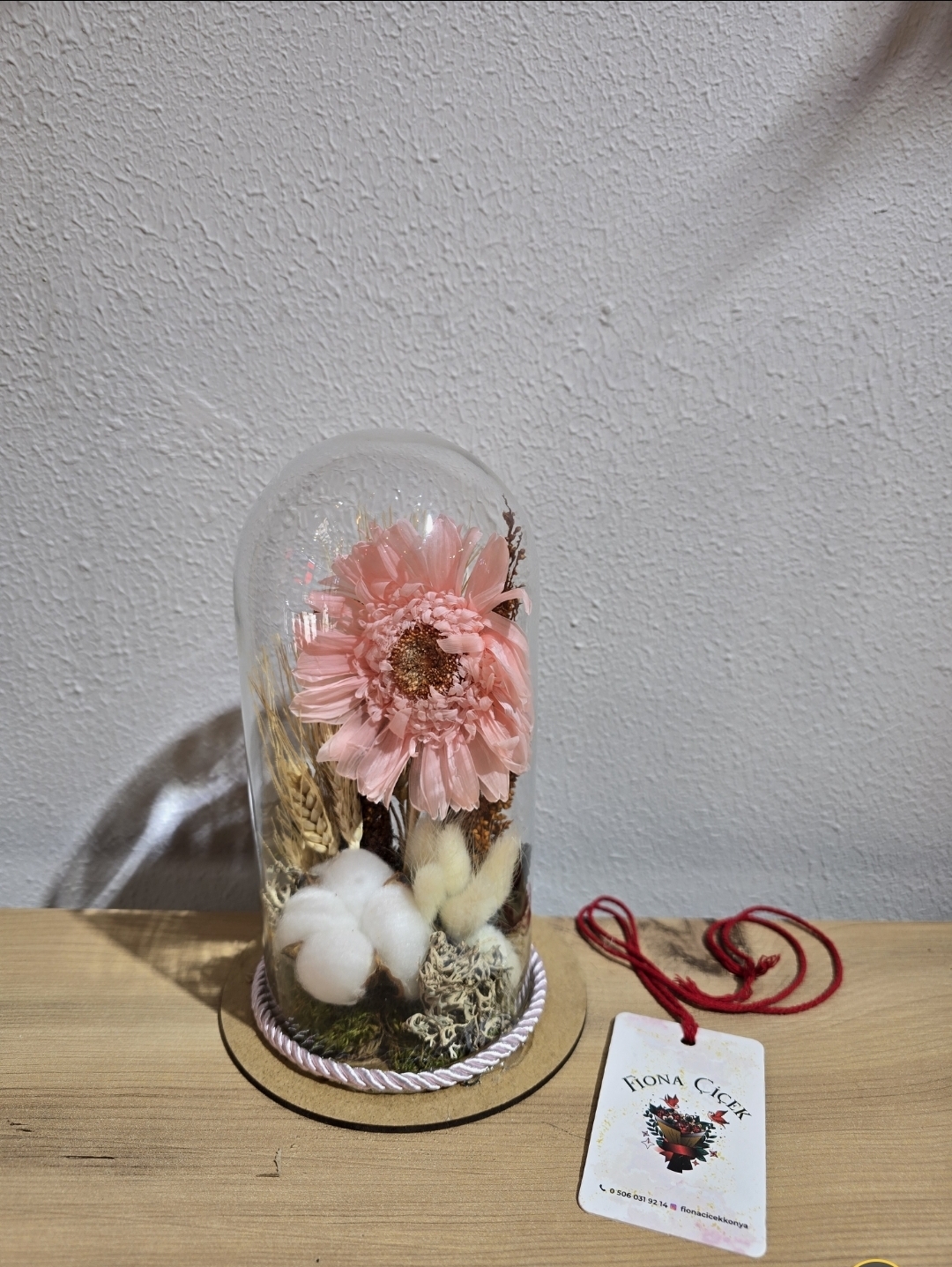 PEMBE ŞOKLANMIŞ DOĞAL TEKLİ CELBERA TERARİUM