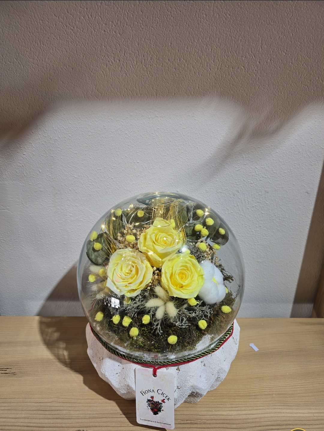 SARI ŞOKLANMIŞ DOĞAL TERARİUM