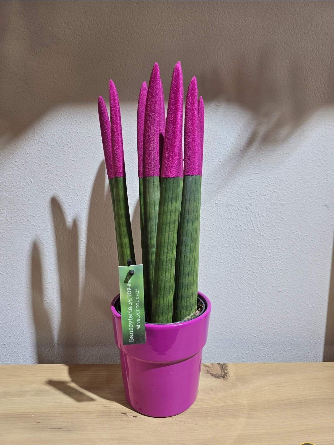 FUŞYA BÜYÜK BOY PAŞHA KILIÇI 