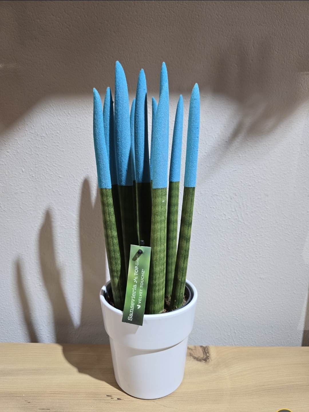 MAVİ BÜYÜK BOY PAŞHA KILICI