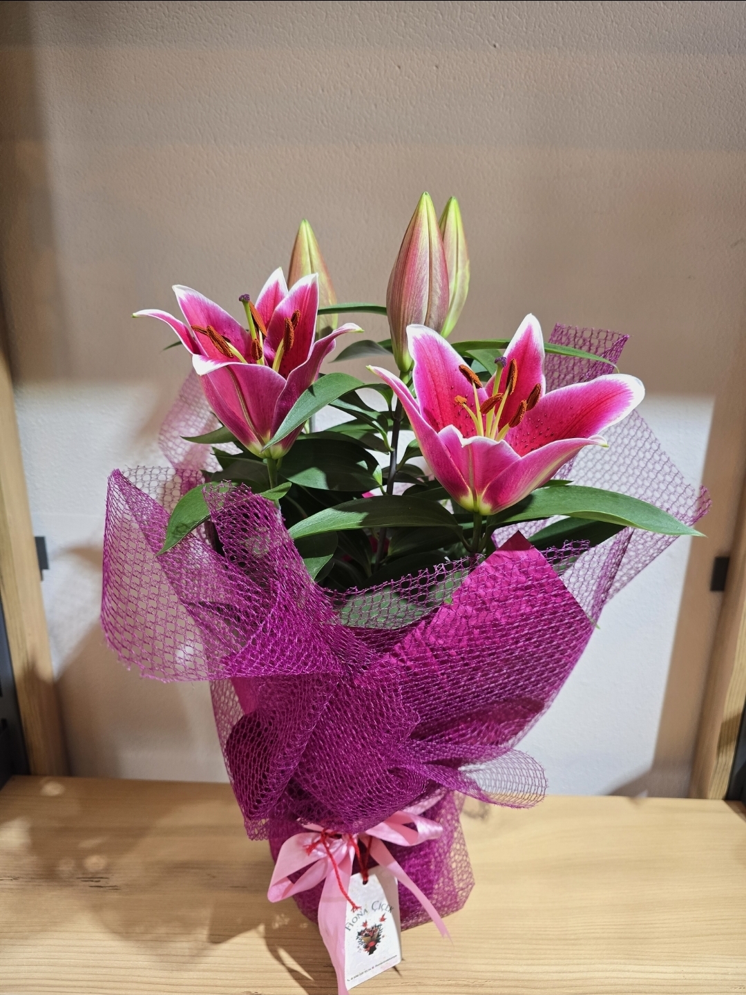 SAKSIDA PEMBE KOKULU LİLYUM 