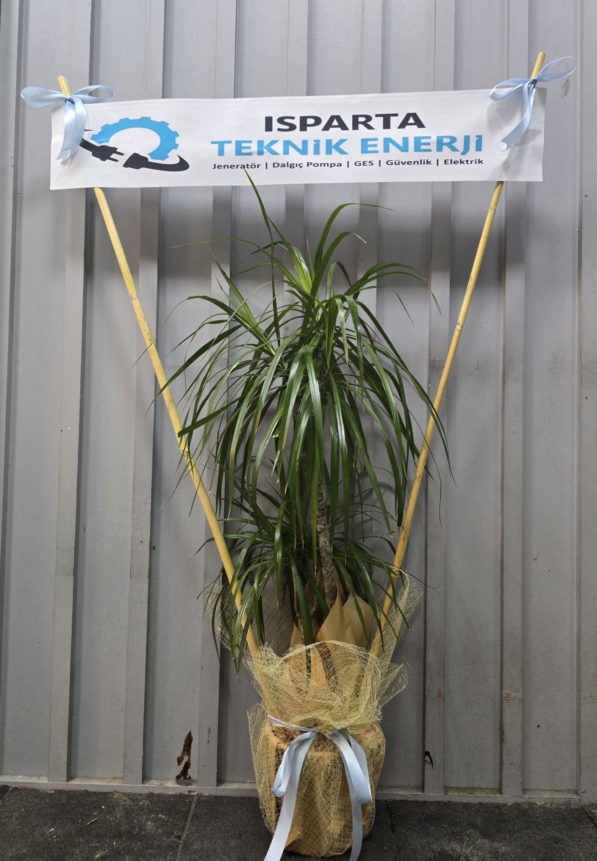 💐✨DÜĞÜN &🌲AÇILIŞ🌴ÇİÇEKLERİ ✨💐