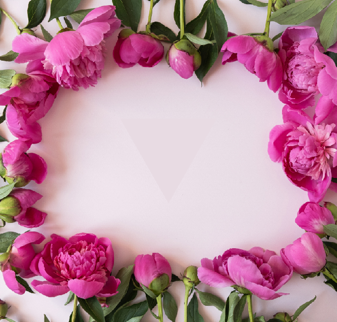 Image Slider